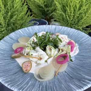 649523444_17929229928210503_5372585173529826473_n (1)